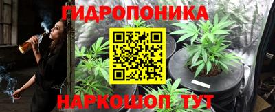 mdpv Канаш