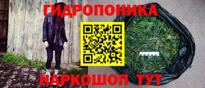 гидра Кандалакша
