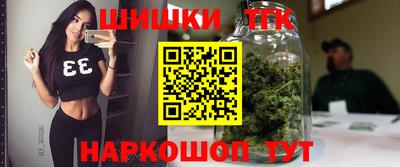 гидра Кандалакша