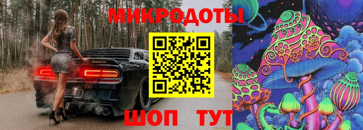 Галлюциногенные грибы Psilocybe Кудрово