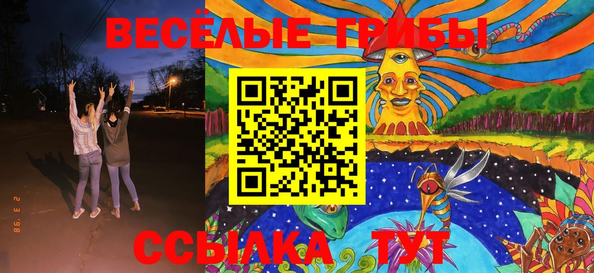 Псилоцибиновые грибы мицелий  Вход с VPN  Кудрово 